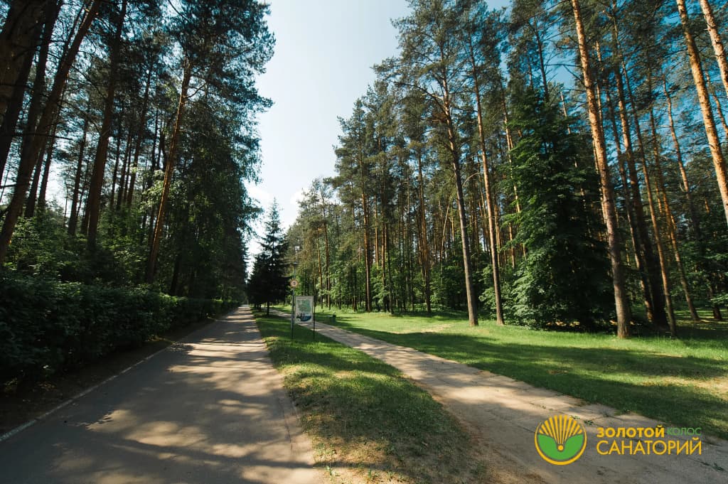 Санаторий Золотой Колос фото 5