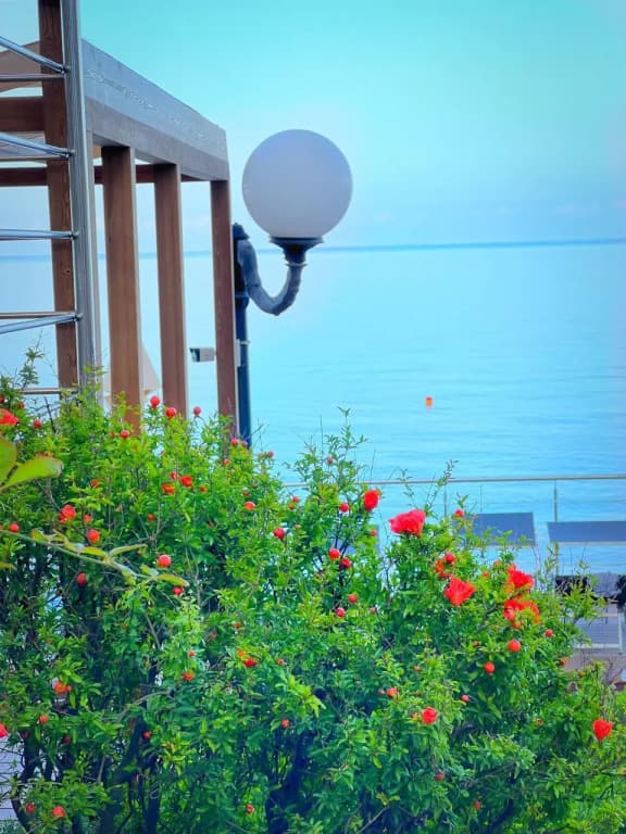 Санаторий Беларусь фото 3