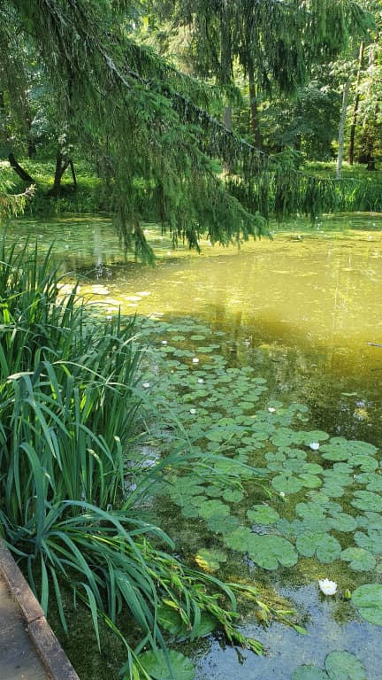 Санаторий Орбита 2 фото 6