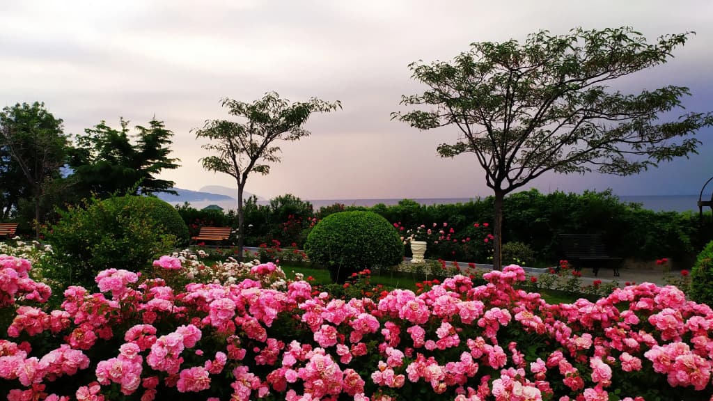 Санаторий Пальмира Палас фото 8