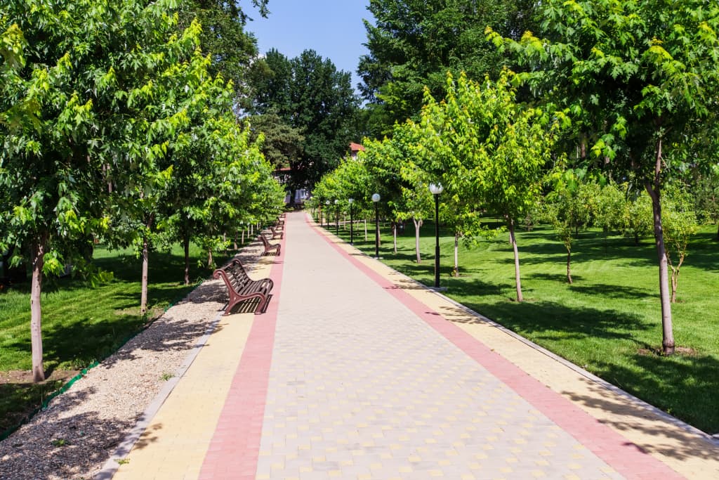 Парк-отель Надежда фото 7