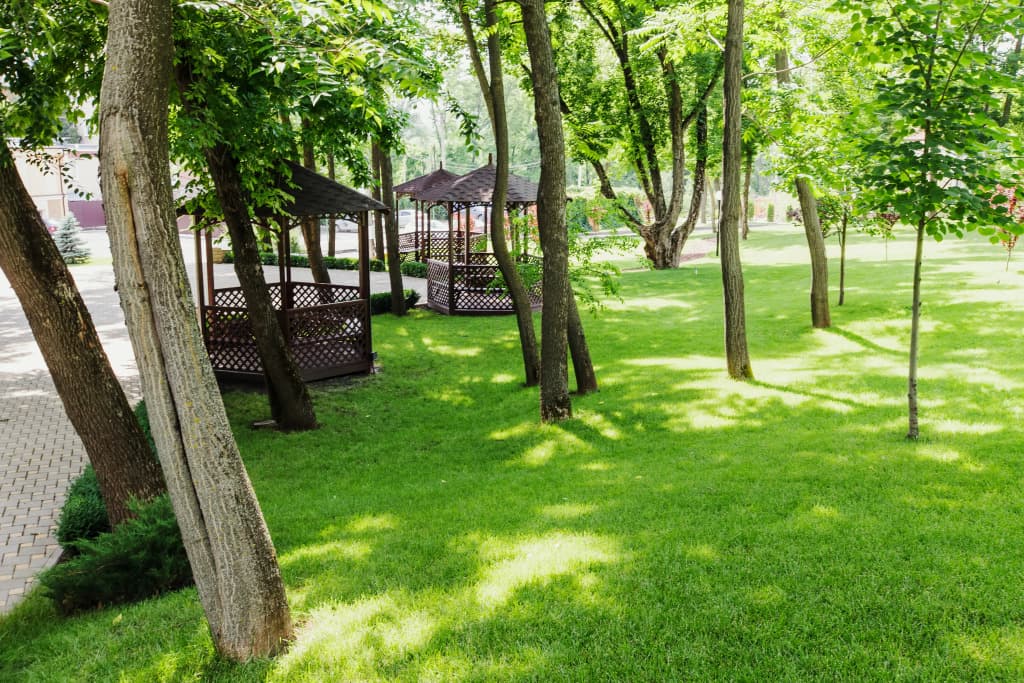 Парк-отель Надежда фото 5