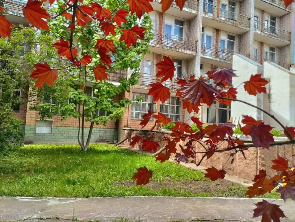 Санаторий-Профилакторий Лесной дворик ЖМЗ фото 4