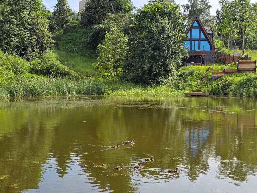 Частный дом СПА у пруда фото 2