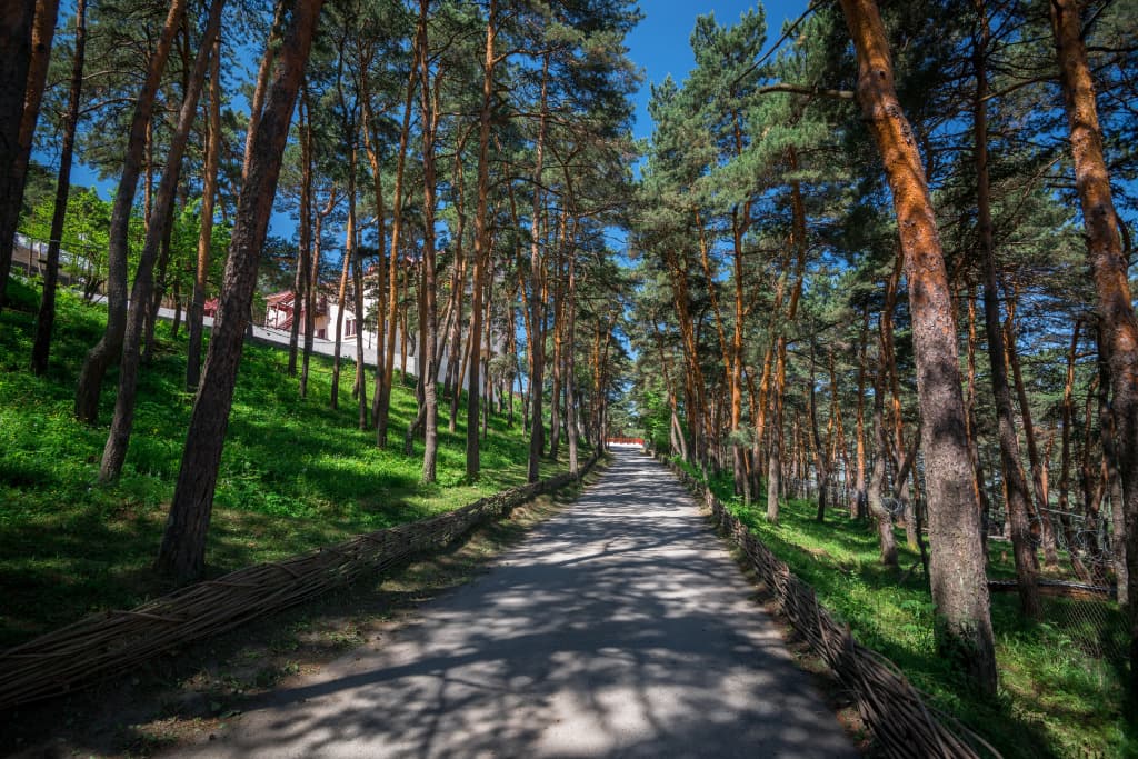 Армхи фото 8