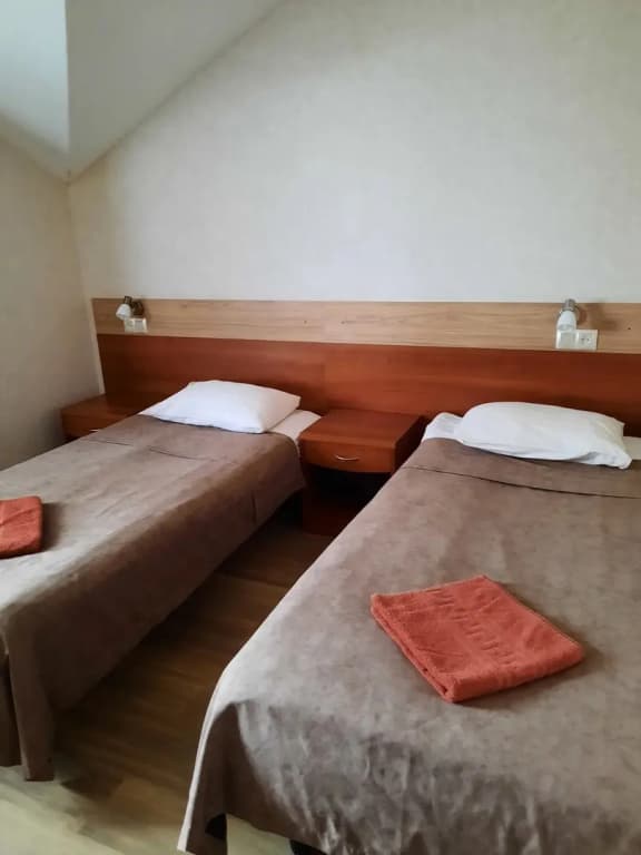 Двухместный номер Comfort с балконом 2 отдельные кровати фото 1