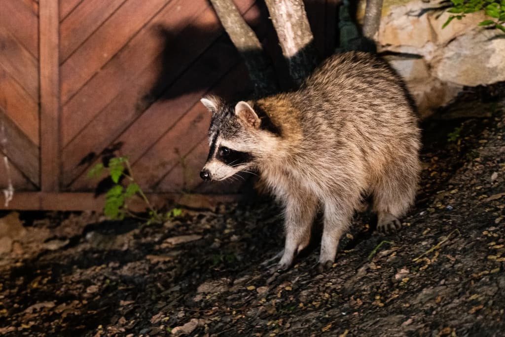 Курортный отель Предгорье Сукко фото 6