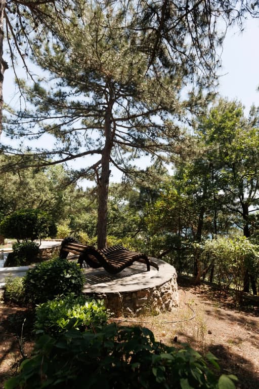 Санаторий Климатический курорт Сосновая Роща фото 4