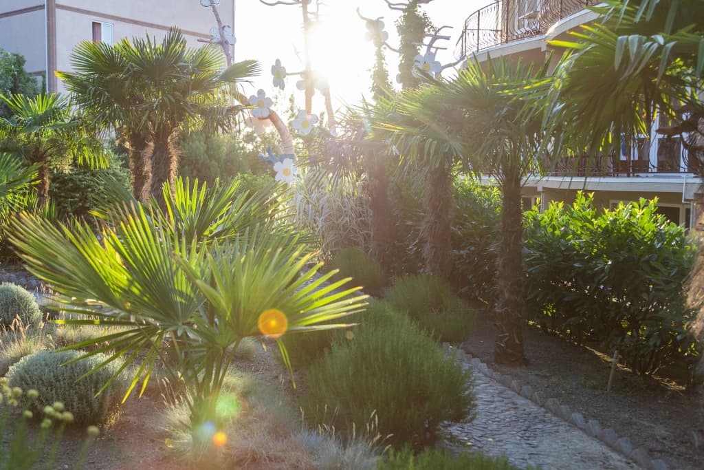 Морской фото 7