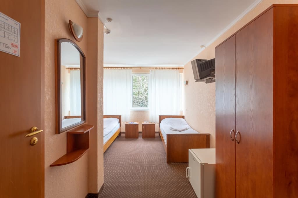 Чайка фото 6