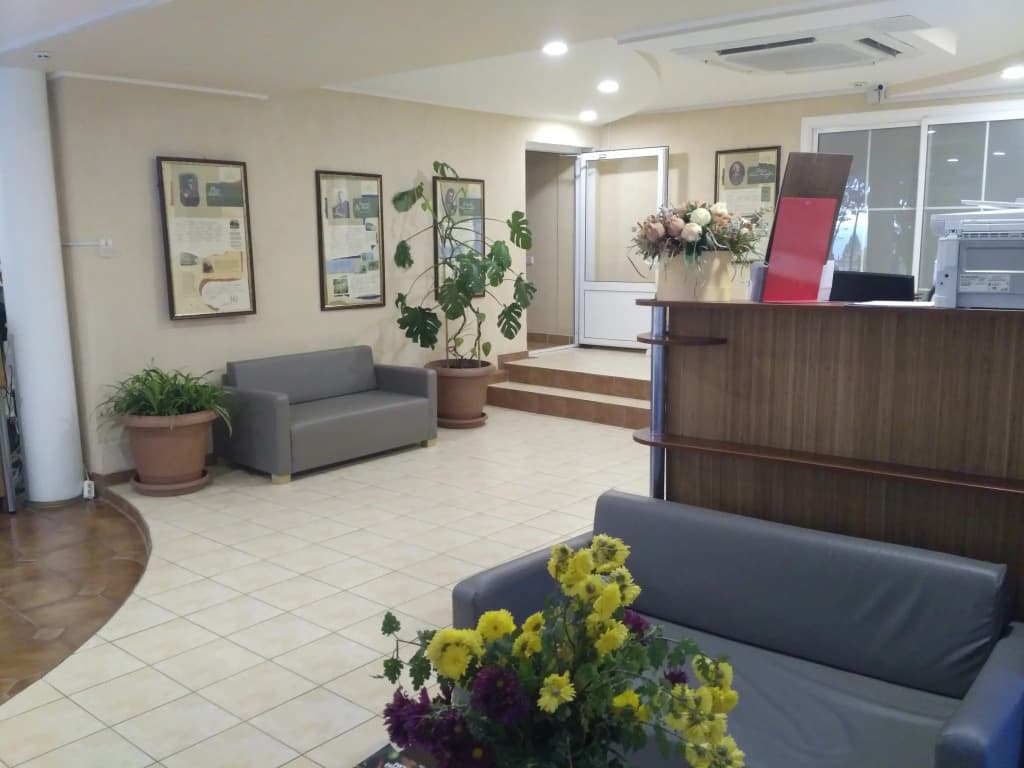 Чайка фото 4