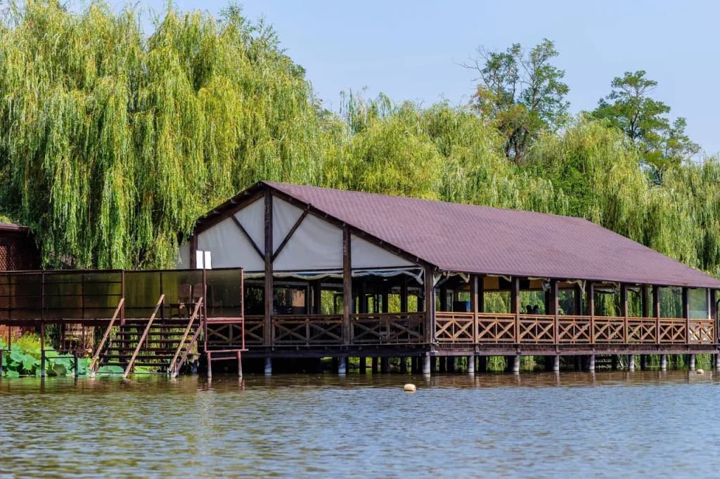 Усадьба Фамилия фото 8