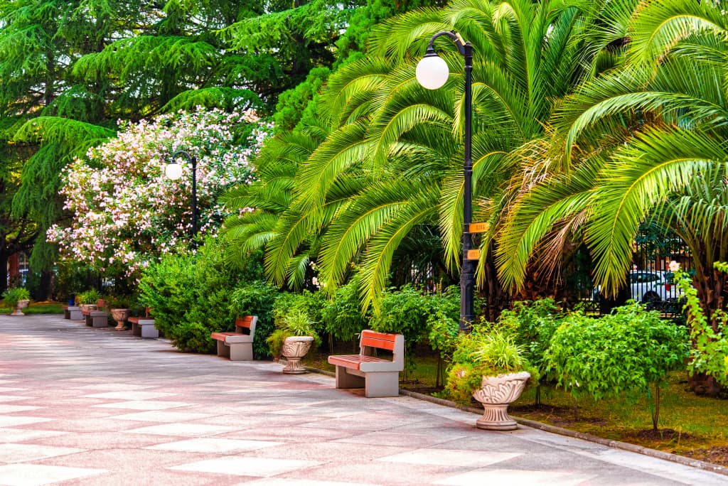 Санаторий Южное Взморье фото 5