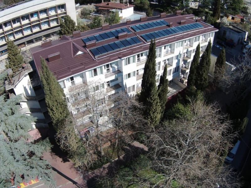 Чайка фото 8