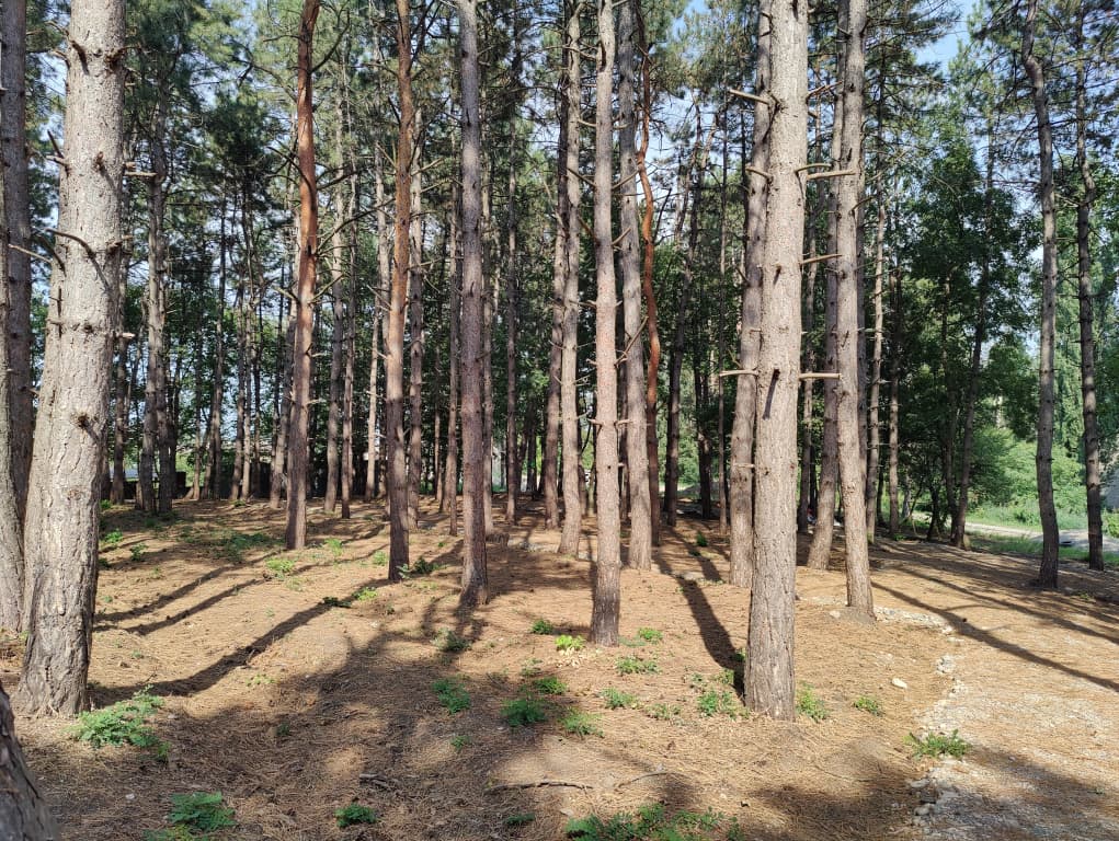 МИРРОС Montis MediSpa Отель Пятигорск 5* (Монтис МедиСпа) фото 8