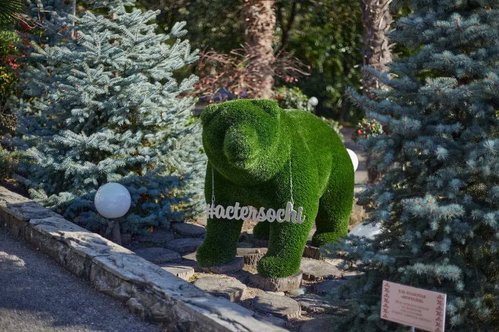 Санаторий Актер фото 7