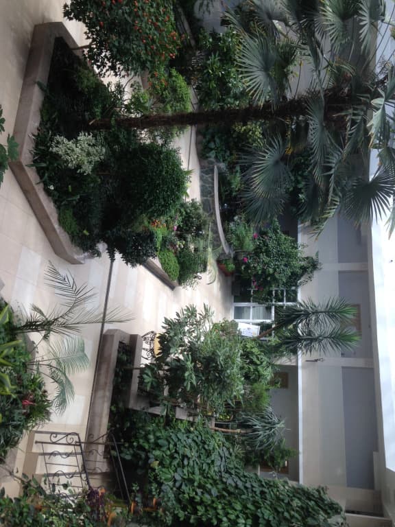 Санаторий Синегорские минеральные воды фото 5