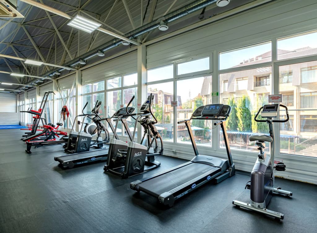 Медведь фото 6