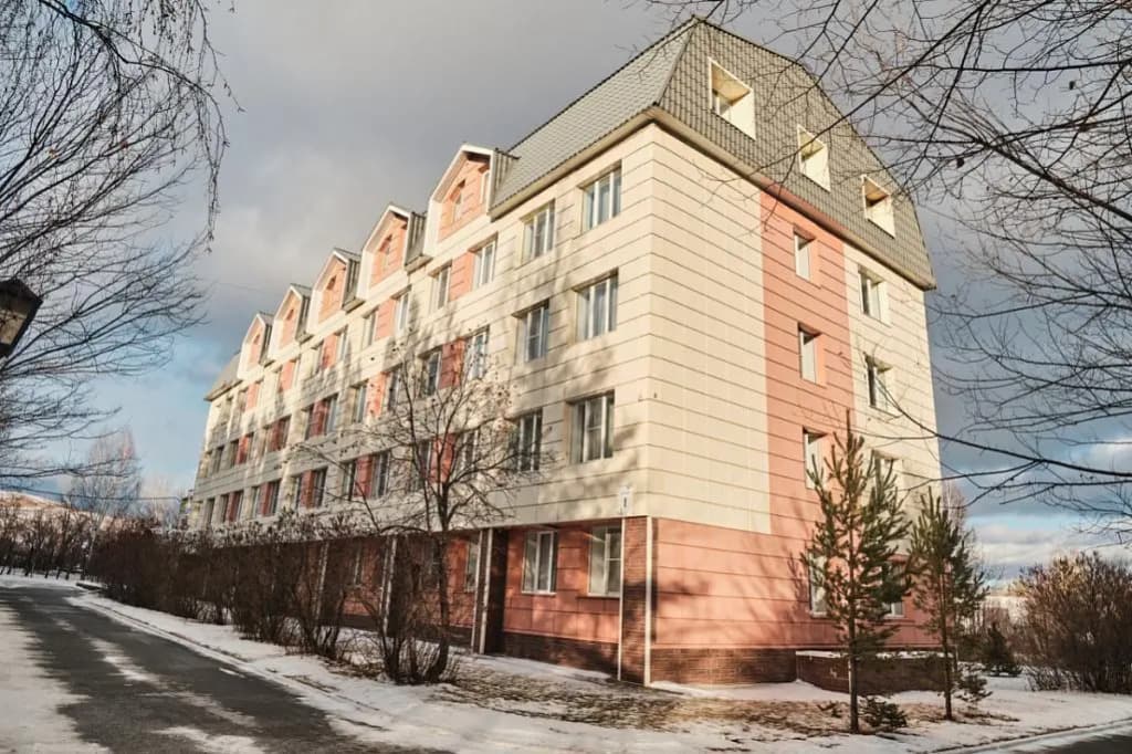 Березки фото 2