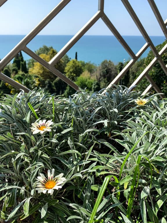 Вилла Полианна фото 8