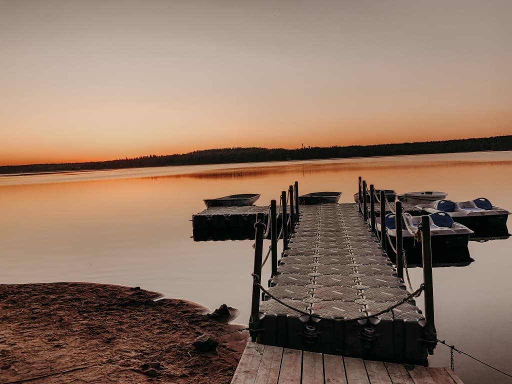 Лесная Рапсодия фото 2