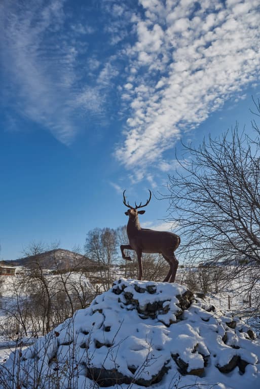 Маральник Altai Palace (Алтай Палас) фото 6