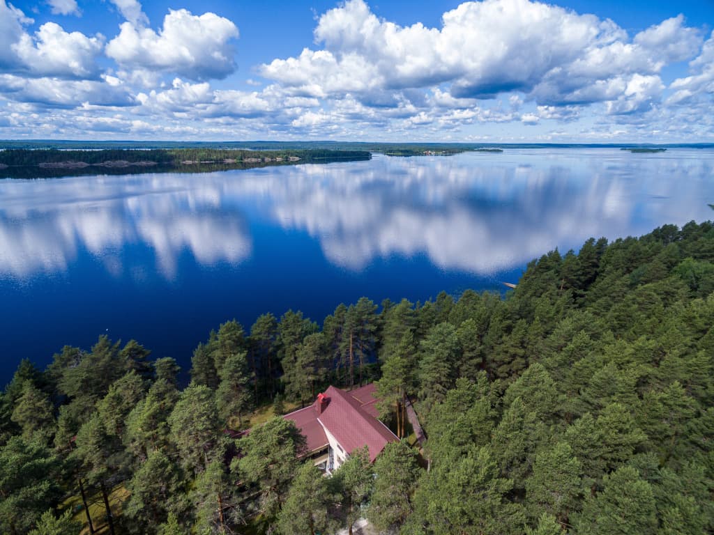 Cosmos Karelia фото 2