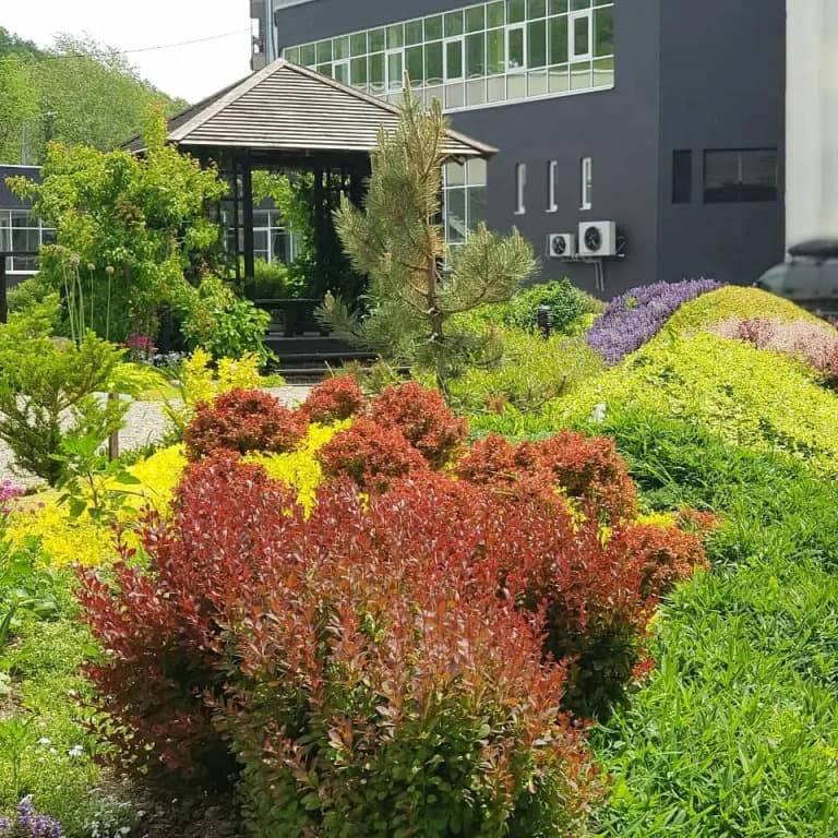 Санаторий Синегорские минеральные воды фото 8