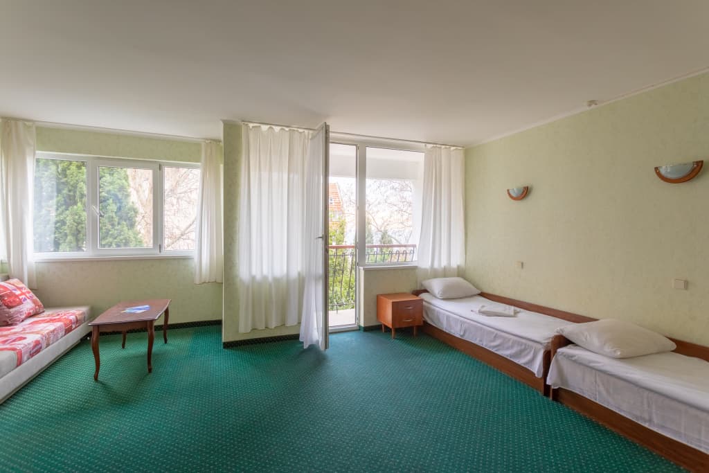 Чайка фото 7