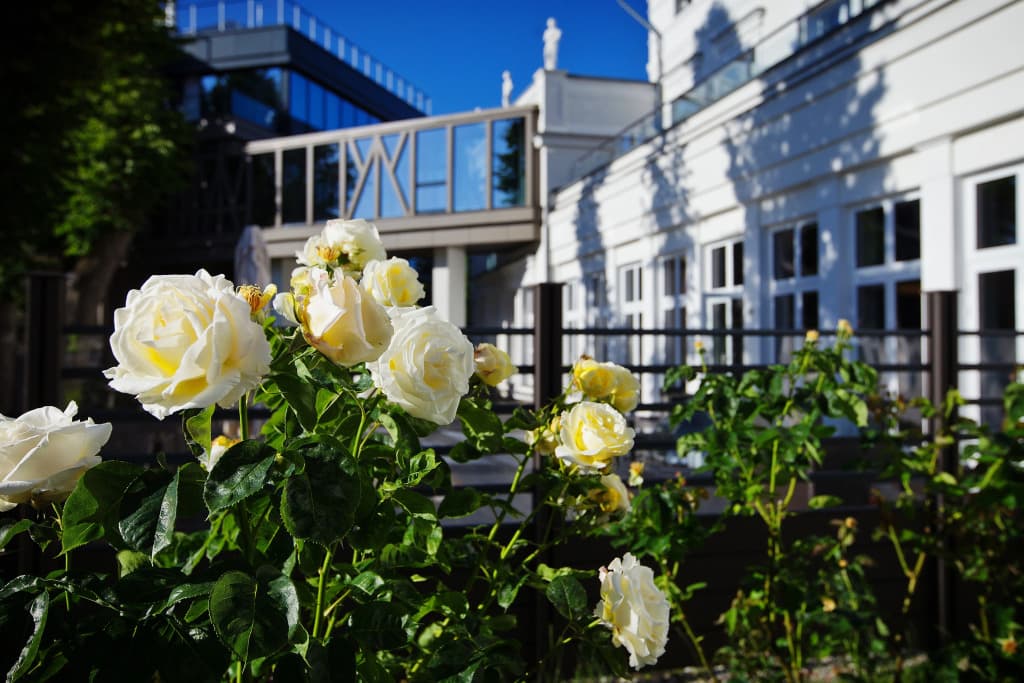 Шлосс Отель Янтарный (Schloss) фото 8