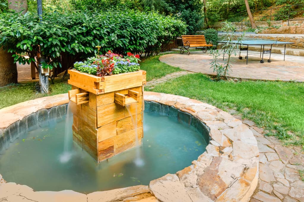 Муссон фото 8