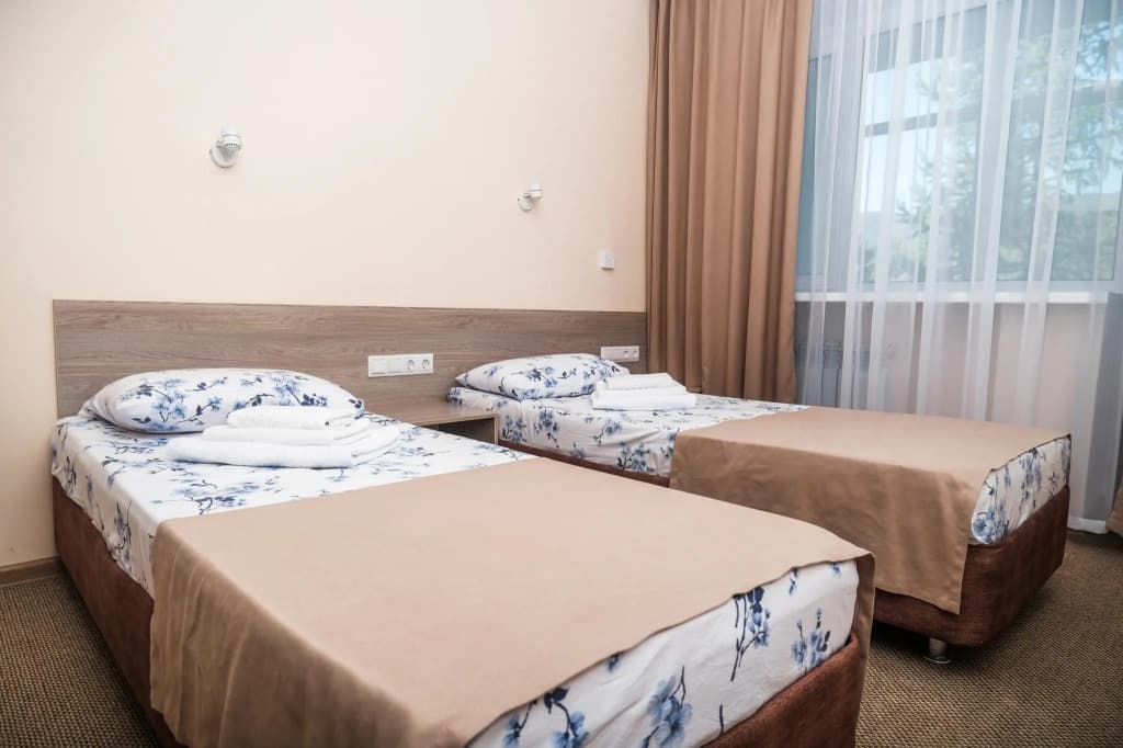 Березки фото 7