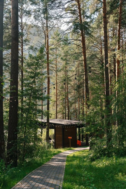 Сказка Алтая фото 8