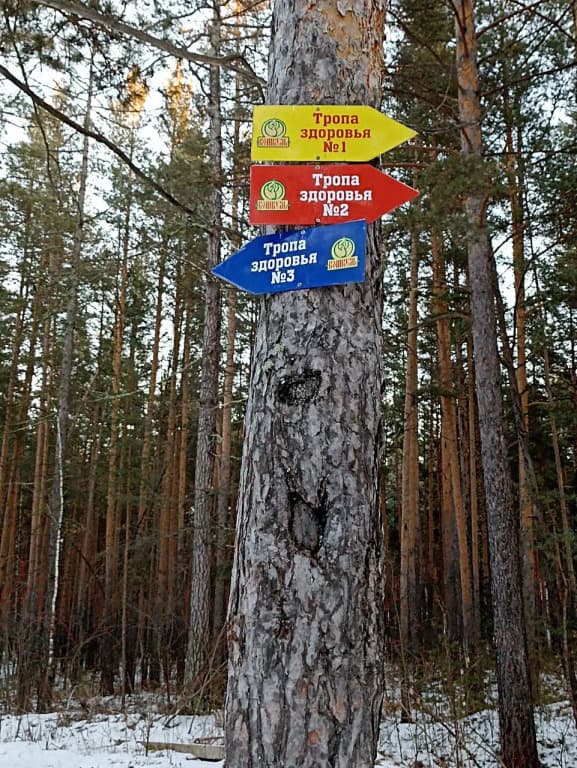 Санаторий-профилакторий Кошкуль фото 8