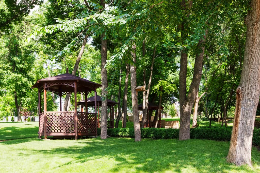 Парк-отель Надежда фото 6