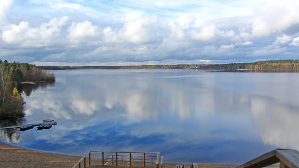 Лесная Рапсодия фото 6