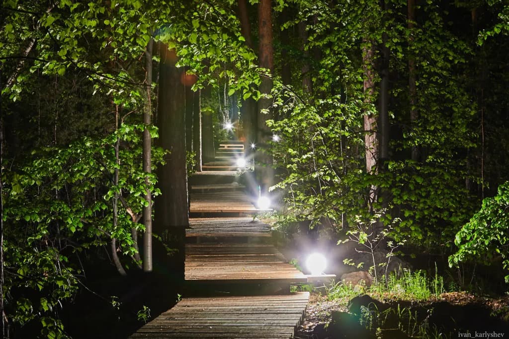 Золотой Пляж фото 3