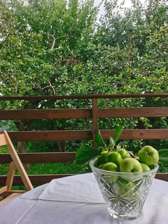 Частный дом Лаванда СПА фото 7