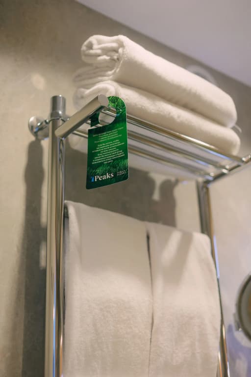 Номер панорамный Коннект с красивым видом из окна фото 14