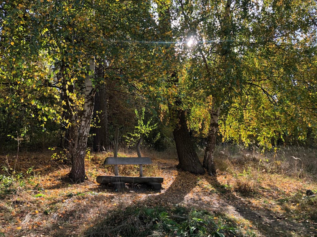 Санаторий Солотча фото 3