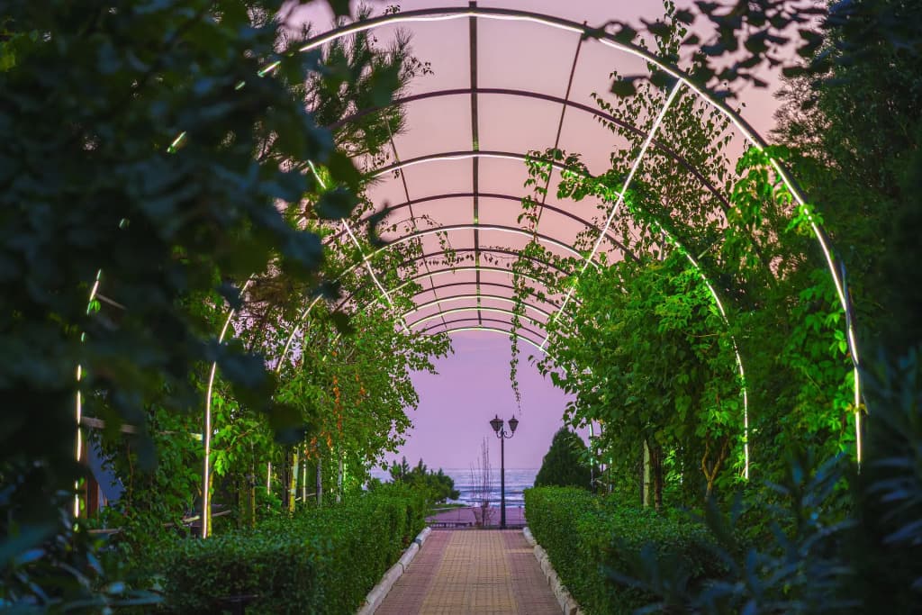 Санаторий Энергетик фото 7