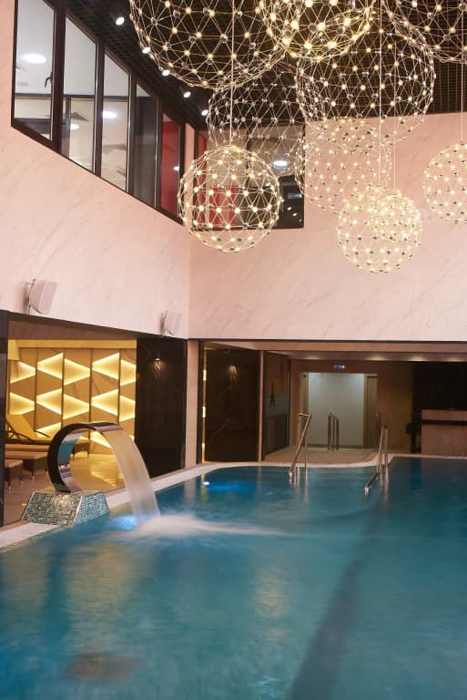 Арника фото 6