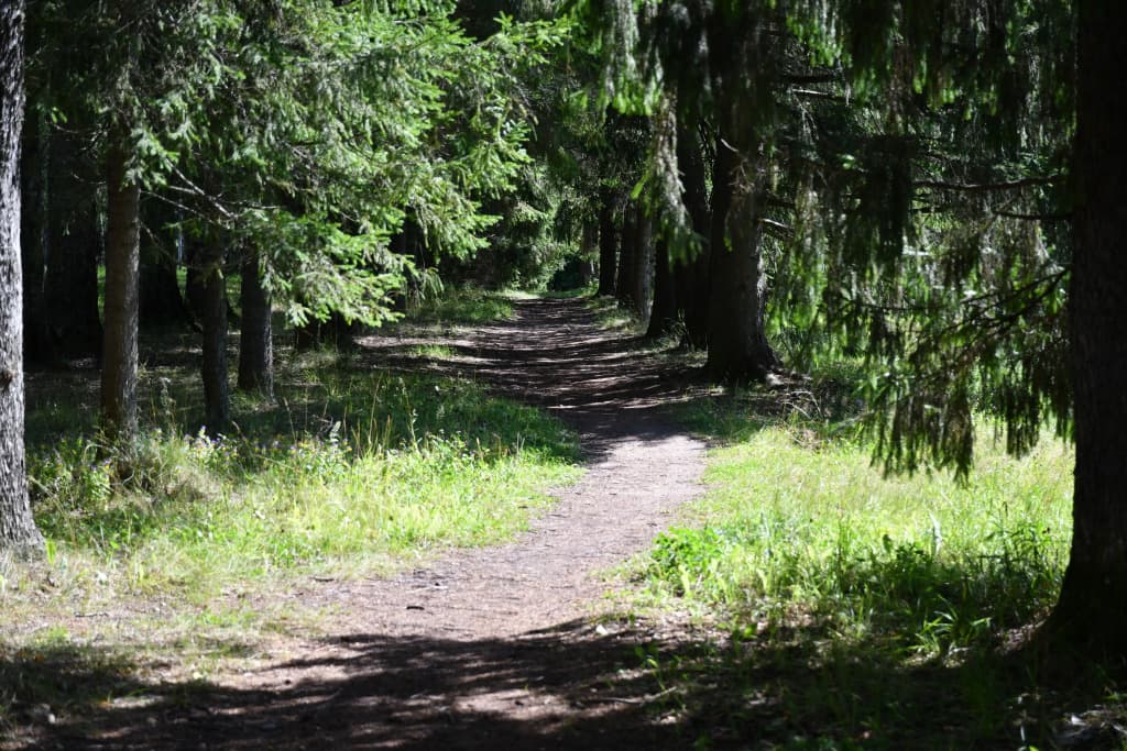 Санаторий Щелыково фото 7