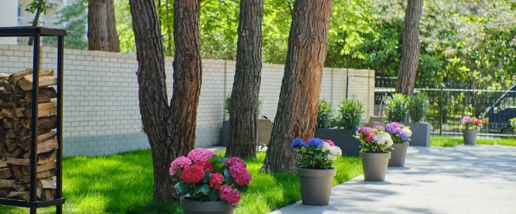 Грейс Калифорния фото 7