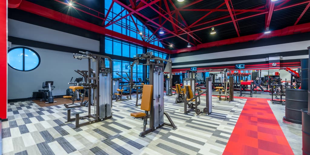 Reston (Рестон) фото 7