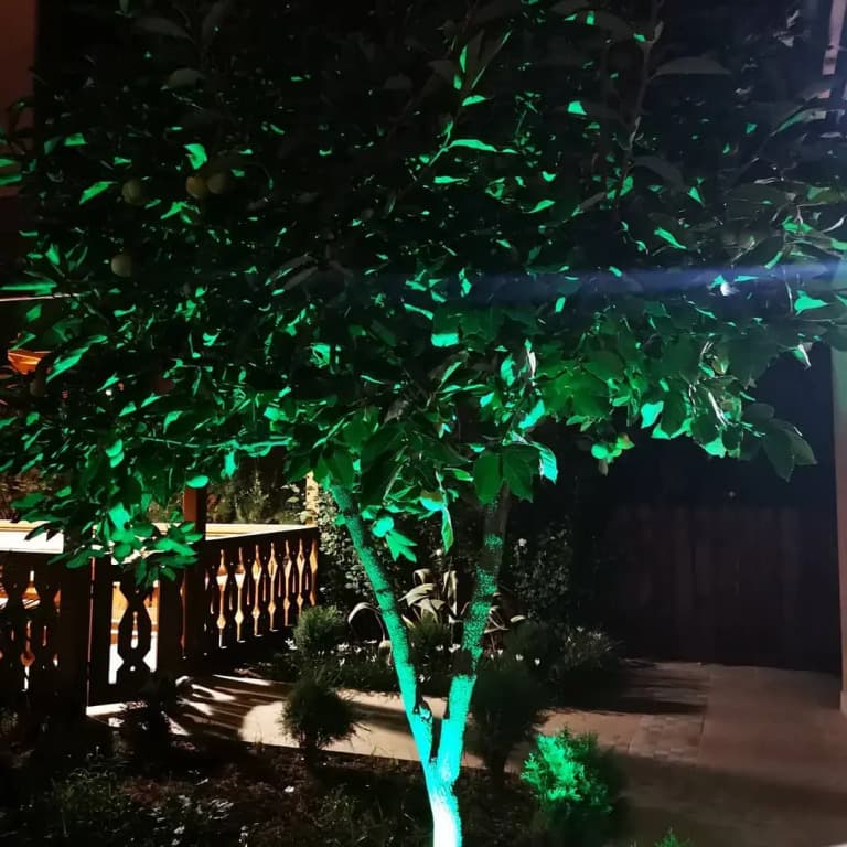 Comfort Hotel  (Комфорт) фото 3