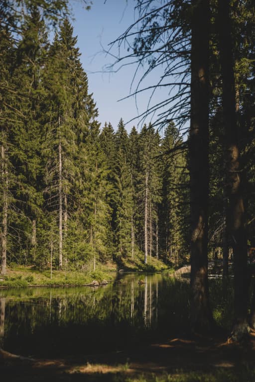 Коттеджный комплекс Охта Парк Collection Всесезонного курорта Охта Парк фото 7