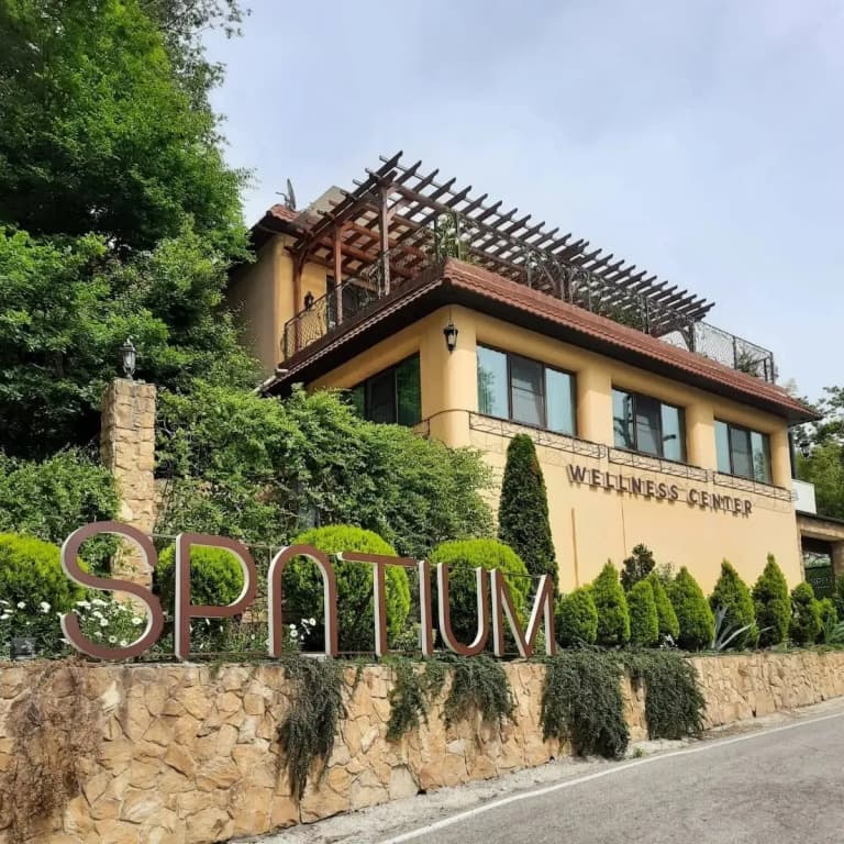 SPATIUM Wellness Center (СПАТИУМ Веллнесс Центр) фото 3