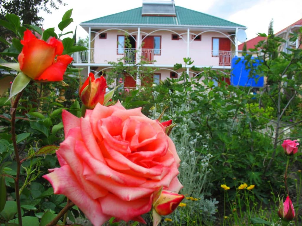 Курортный отель Орхидея фото 8