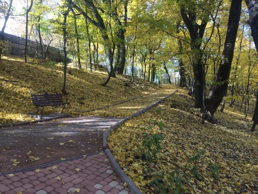 Славяновский Исток фото 6